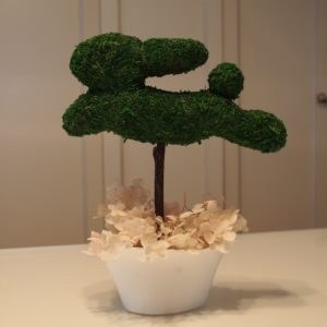 スタッフドモストピアリー