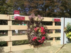 インストラクター1期生大熊真一郎さん、奨励賞受賞！