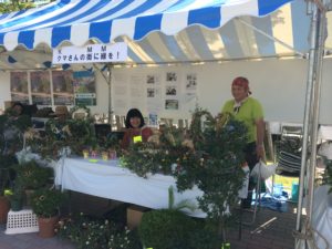 お台場海浜公園でトピアリーをPR!