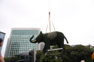 ゾウのモザイカルチャー登場!