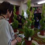 トピアリーインストラクター養成講座、終わったぁ!