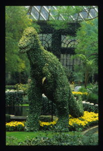 ティラノサウルスのトピアリー