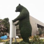 練馬区立美術館に4mのクマトピアリー(モザイカルチャー・植物造形)登場!
