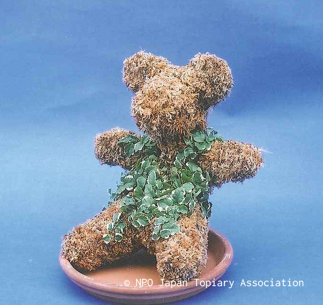 初級②ﾃﾃﾞｨｽﾀｯﾌﾄﾞ