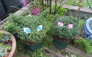 ツゲ玉ネコちゃんお嫁入しました~黒猫展~