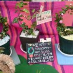 『ロハスフェスタ万博』に出展