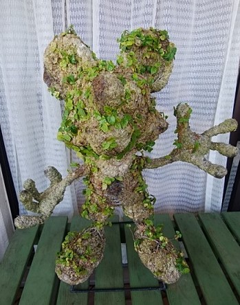 ミッキートピアリー②