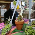 リピーターさんにも好評！～ロハスフェスタ南港～