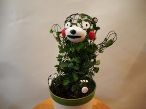 くまモントピアリーをつくっちゃお！