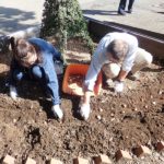 早くも春の準備～日比谷公園・タワートピアリー