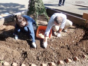 早くも春の準備~日比谷公園・タワートピアリー