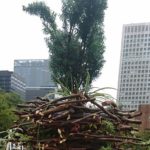 物語の想像が広がる作品を出展～日比谷GS～