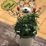 「トピアリーでスマイル」キャンペーンはじめました!