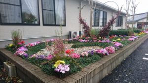 インストラクターのパワー集結！ハートと猫のトピアリー