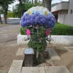 おおまぴょんトピアリー、元気です！