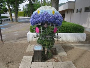 おおまぴょんトピアリー、元気です！