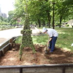 スッキリ散髪！日比谷公園・タワートピアリー