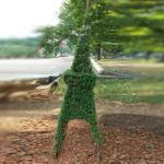 猛暑に負けず、元気です！