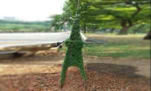 猛暑に負けず、元気です！