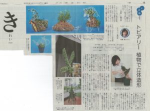 読売新聞 夕刊 “きれい” にトピアリー登場!