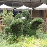 「Kiss through the mask」日比谷公園・スワントピアリー