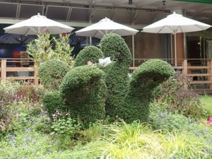 「Kiss through the mask」日比谷公園・スワントピアリー