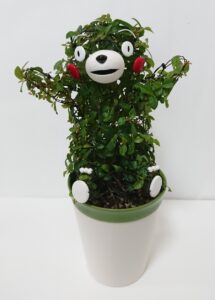 研修会3