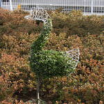 トピアリーインストラクター養成講座（中級）開講！～ZOOM受講も可能に‼～