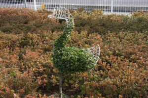 トピアリーインストラクター養成講座（中級）開講！～ZOOM受講も可能に‼～