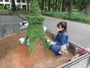 バリカンで剪定