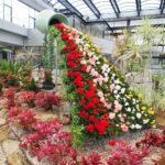 大温室が植物造形(トピアリー)でいっぱいに!