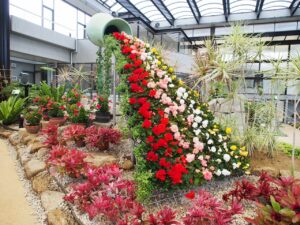大温室が植物造形(トピアリー)でいっぱいに！
