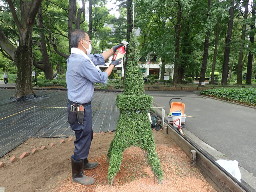 すっきりしました