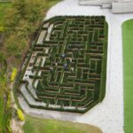 テレビ局のメディアセンターに巨大トピアリー迷路が登場！