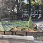 海に浮かぶ⁉日比谷公園のタワートピアリー