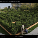 巨大トピアリー迷路メイキング動画公開！
