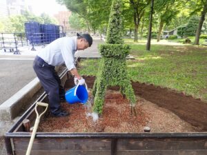 スッキリしました(^^)　日比谷公園のトピアリーたち