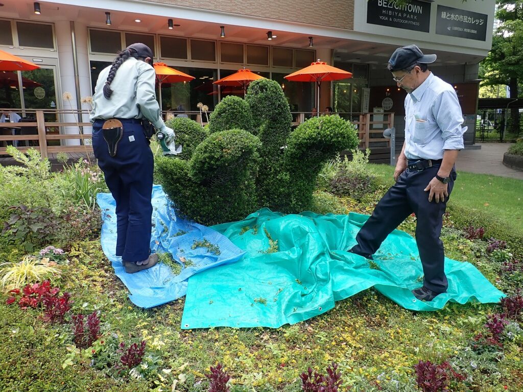 リズミカルに刈り込み