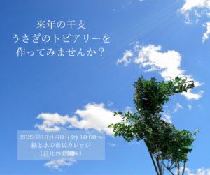 来年の干支「うさぎ」のトピアリーを作ってみませんか？