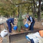 日比谷公園タワートピアリーのメンテナンス~最後の春に向けて~
