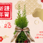 うさぎのトピアリーで新年のごあいさつ