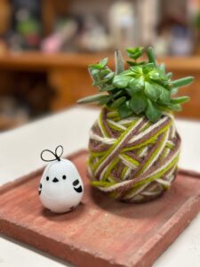 多肉植物の毛糸玉