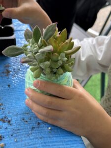 毛糸玉➁