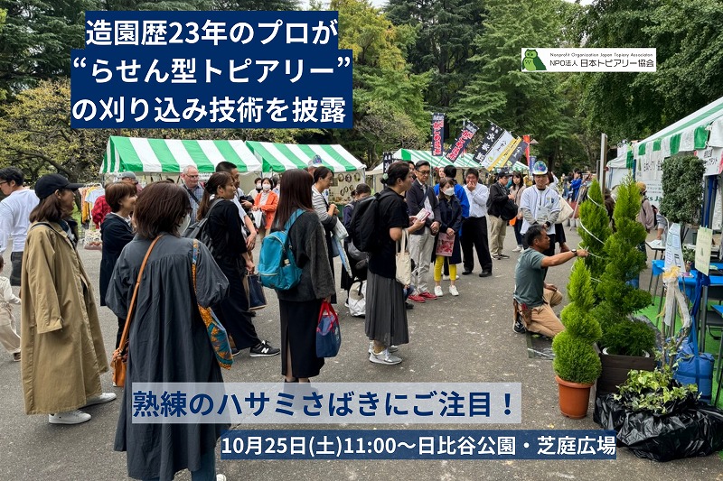 スパイラルトピアリーの刈り込み実演イベント開催！