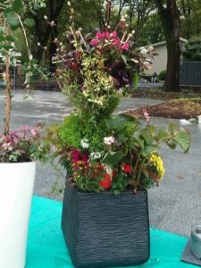 花魁トピアリー後ろ姿