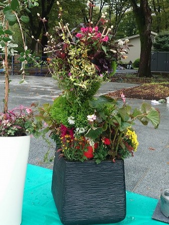 花魁トピアリー後ろ姿