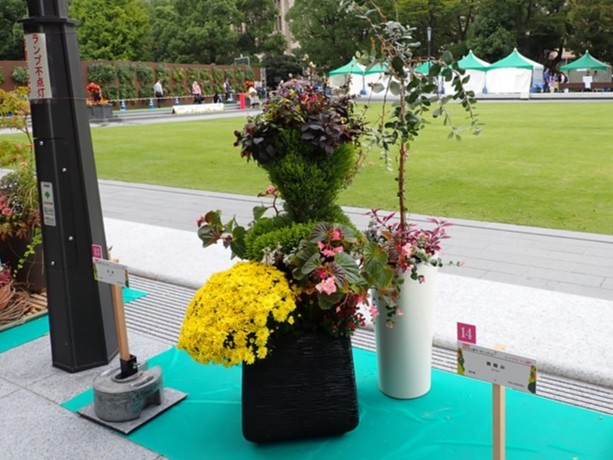 花魁(おいらん)の色気漂うトピアリー